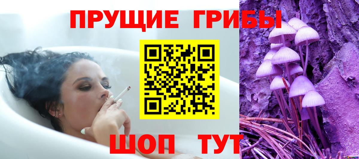 Галлюциногенные грибы GOLDEN TEACHER  Вход с VPN  Набережные Челны  дарнет шоп  Псилоцибиновые грибы Psilocybe 